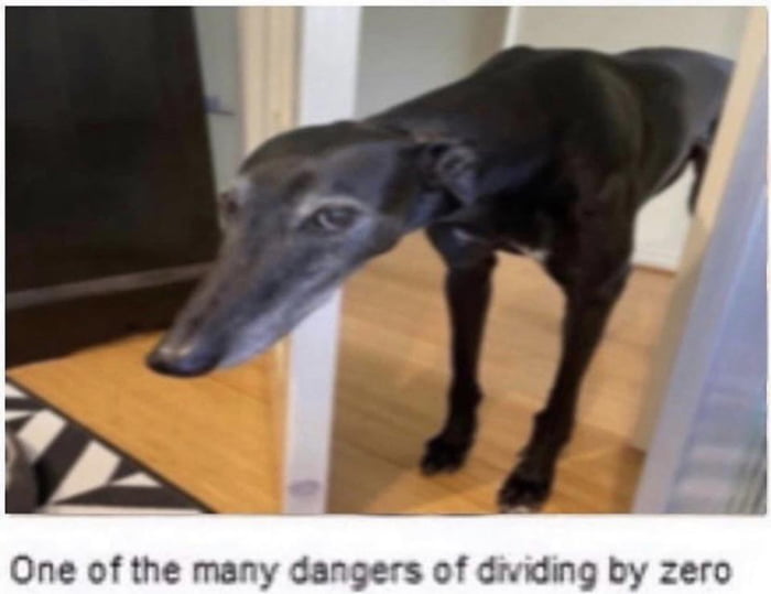 Never Divide By Zero 9GAG never-divide-by-zero-9gag