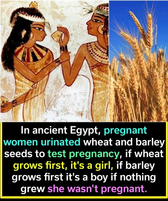 Ancient Egyptian Pregnancy Test 9gag