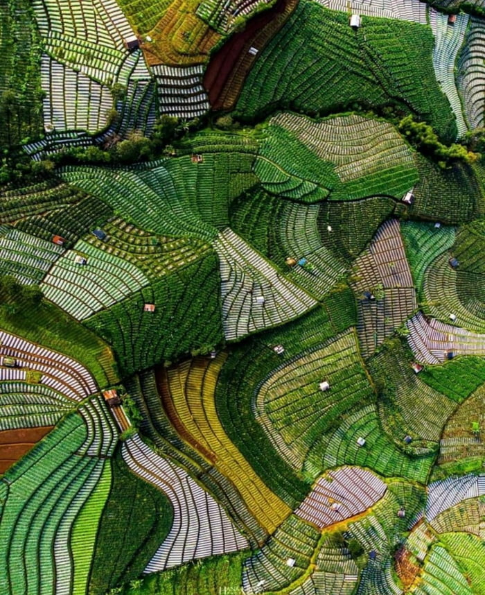 vegetable-patches-in-wonosobo-indonesia-9gag