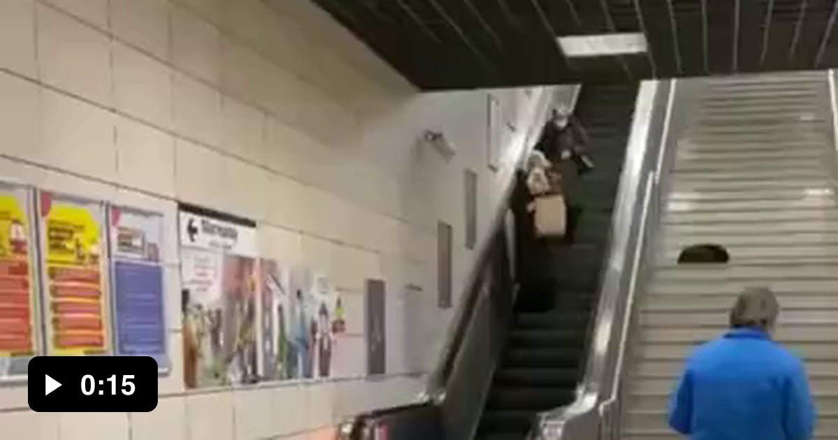 Dog friendly subway station, see how comfy they are and how people see