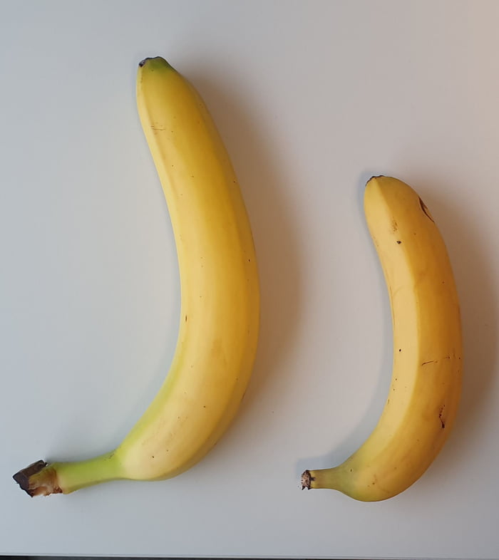 Size of a big banana. Banana for scale - 9GAG