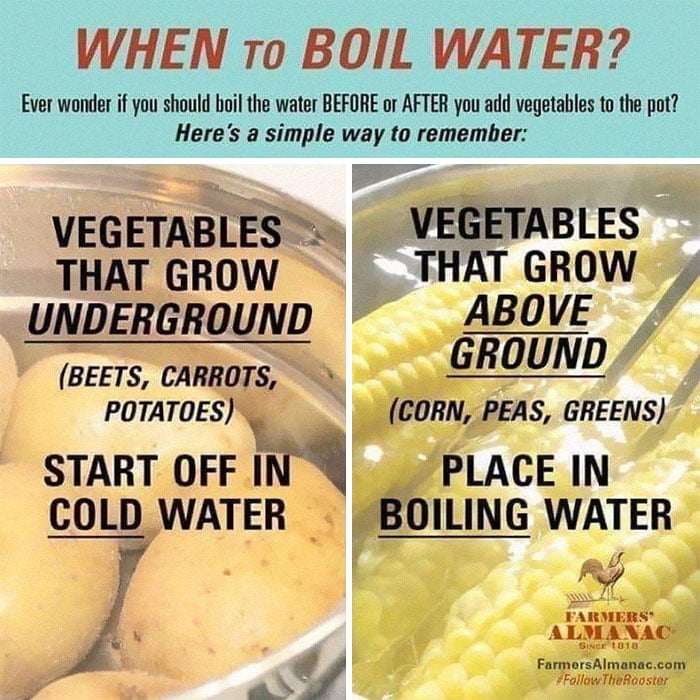 When to boil water for veggies 9GAG