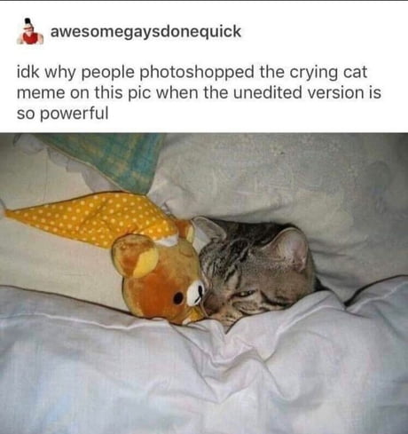 Crying Cat Meme Collection - 2006paul