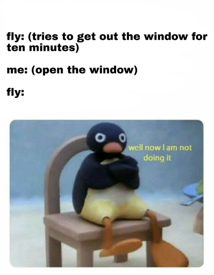 Are you challenging me - 9GAG