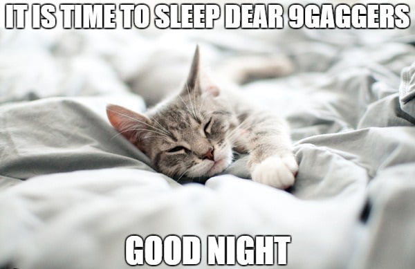 Go to sleep finally - 9GAG