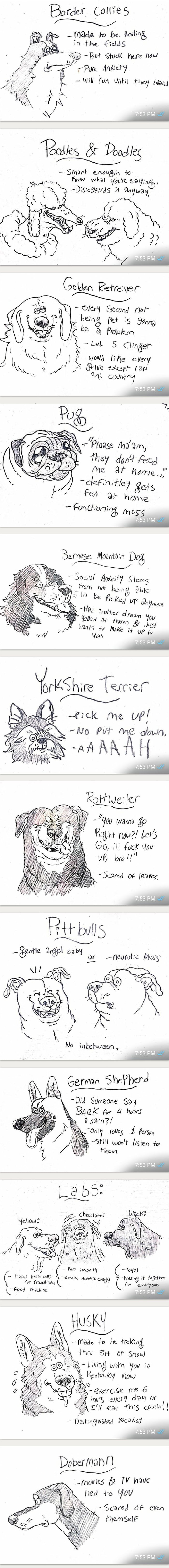 The real guide to dog breeds (part-2).