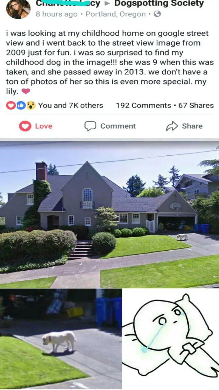 I'm not crying , you are. - 9GAG