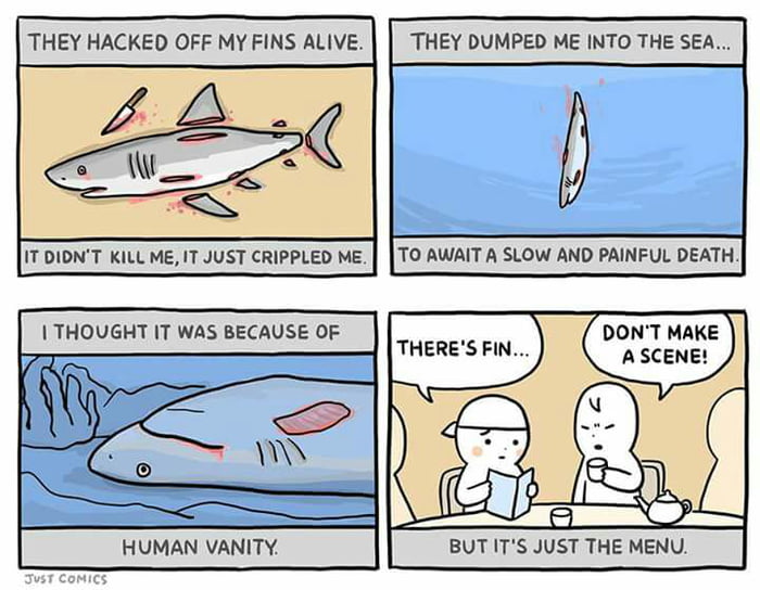 Who the f**k eats shark fins? - 9GAG