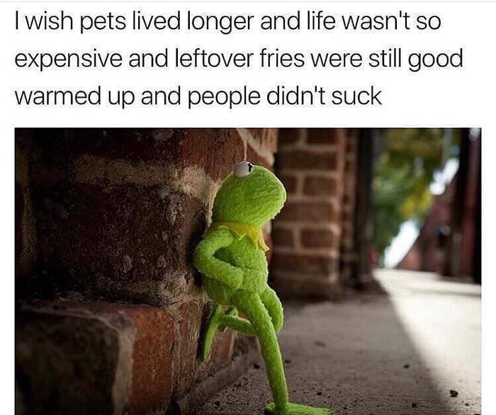 This Is The World That We Live In 9gag