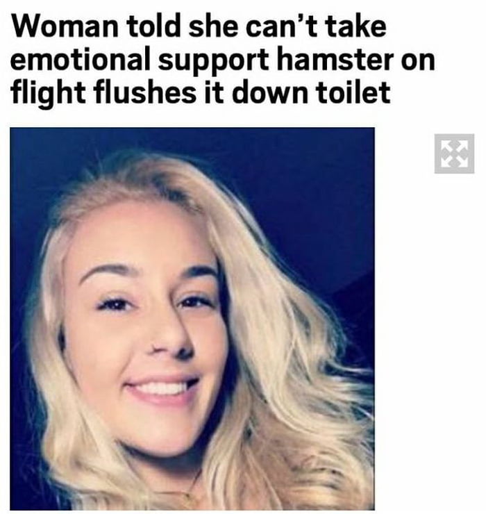 She Needs More Than Emotional Support 9gag