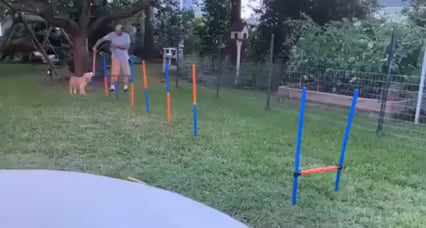 Error 404 - Obstacle not found