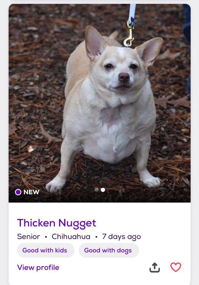 Thicken nugget - 9GAG