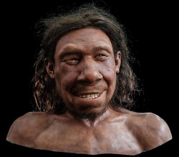 The Reconstruction Of The Face Of A Young Neanderthal Man From Bones Gathered On A Beach In The 3049
