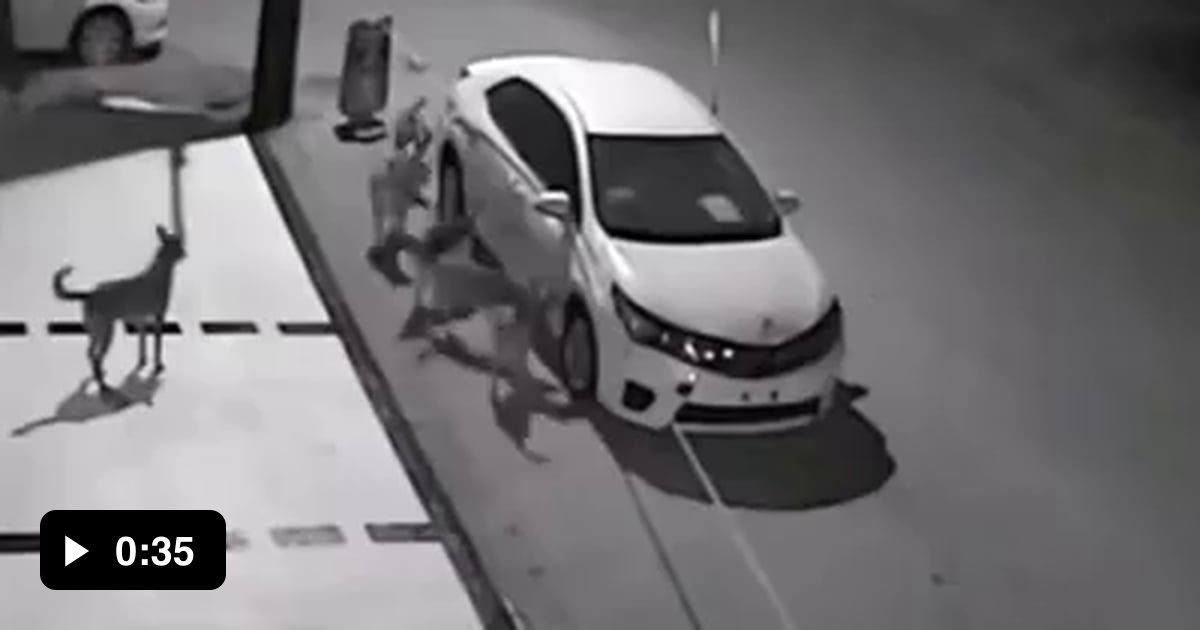 F this car particularly - 9GAG