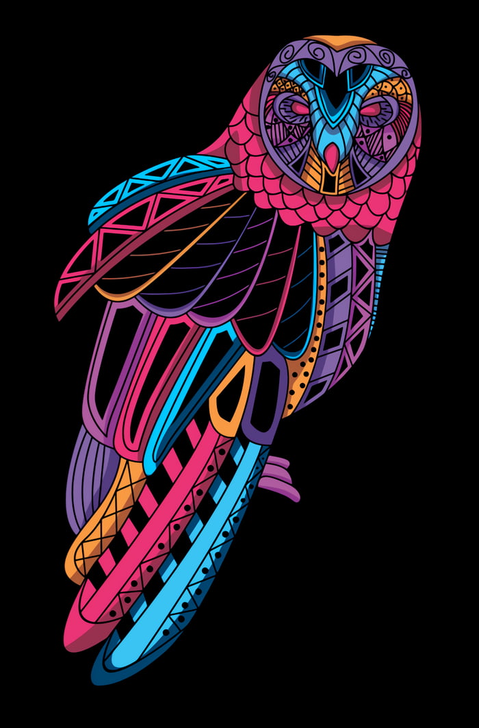 neon-owl-v-2-much-better-quality-1576x2380-9gag