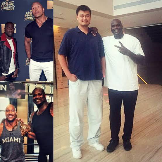 Humans For Scale Kevin Hart 5 4 Dwayne The Rock 6 5 Shaq 7 1 Yao Ming 7 6 9gag