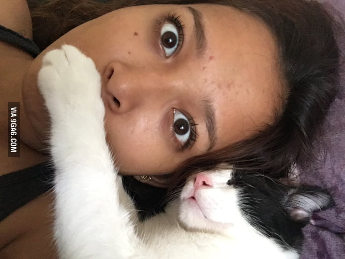 I dont know what my cat is trying tell me.... 9GAG