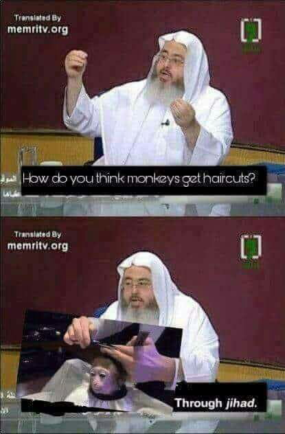 Funny Jihad Pictures