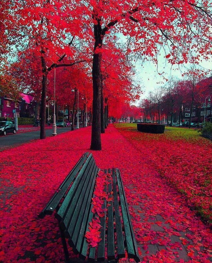 Autumn in Amsterdam - 9GAG