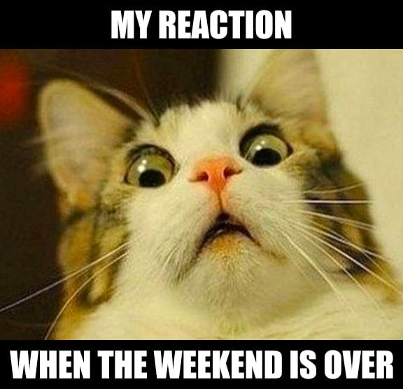 When The Weekend Is Over #ReCactus - 9GAG