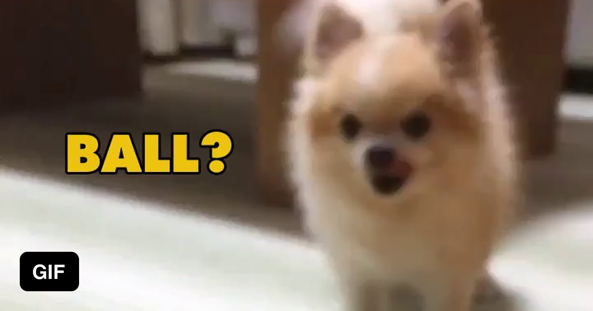 "Why do you bamboozle me like this?" 9GAG