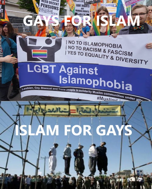 aVMwgb8_700b.jpg