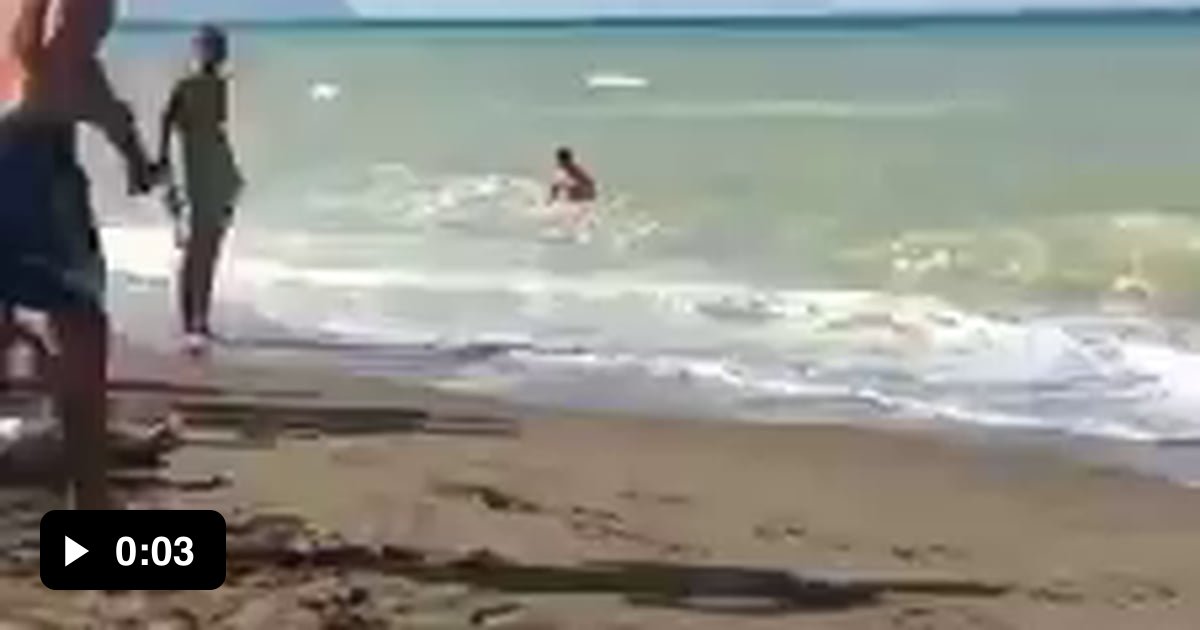 The best dive - 9GAG