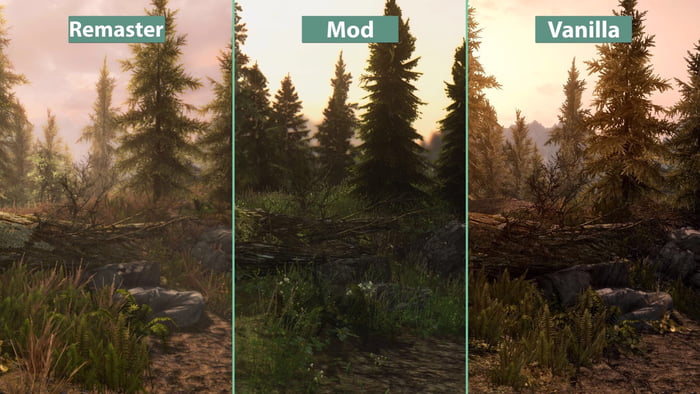 skyrim special edition vs mods