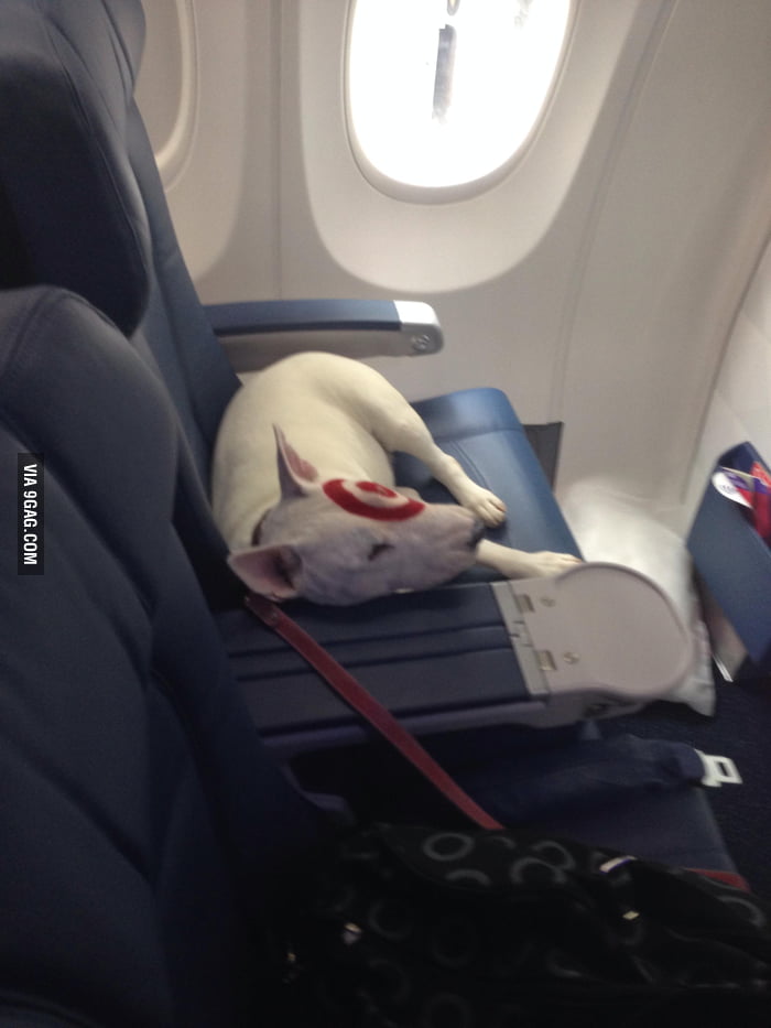 Sat next to someone famous on the plane... - 9GAG