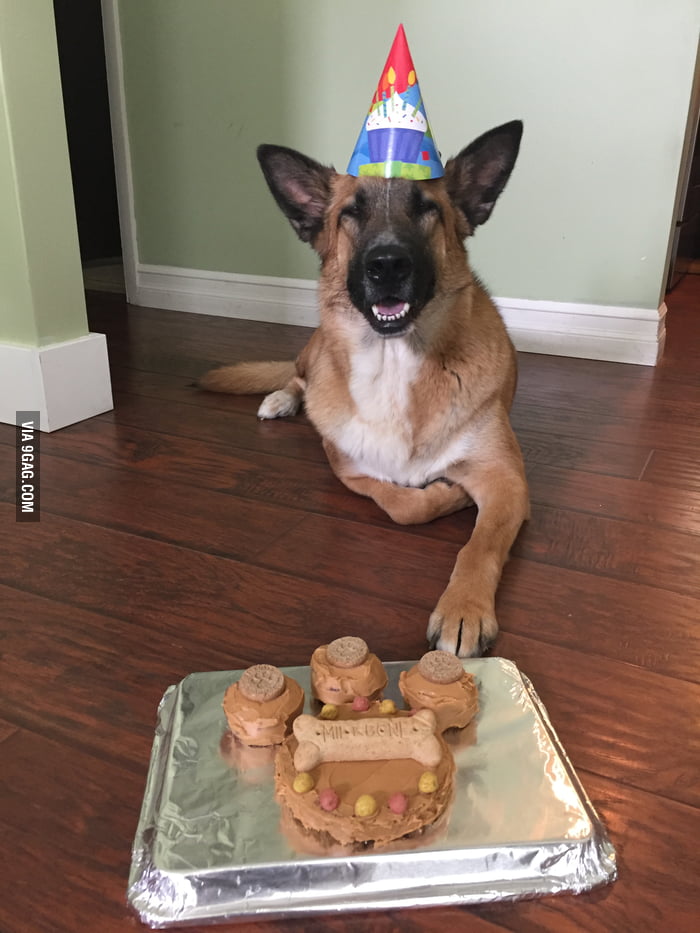 Riley is back with another birthday! - 9GAG