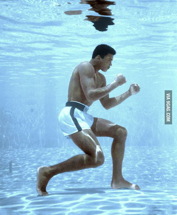 Fly like a butterfly sting like a bee.' - Muhammad Ali, Rest in peace... -  9GAG