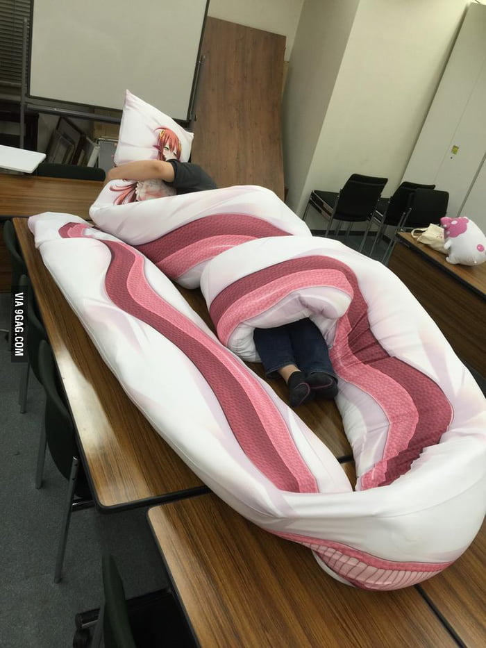 An 800 7meter lamia (snake lady) hug pillow. 9GAG
