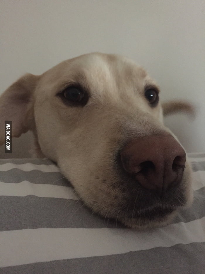 Every Morning When I Open My Eyes 9