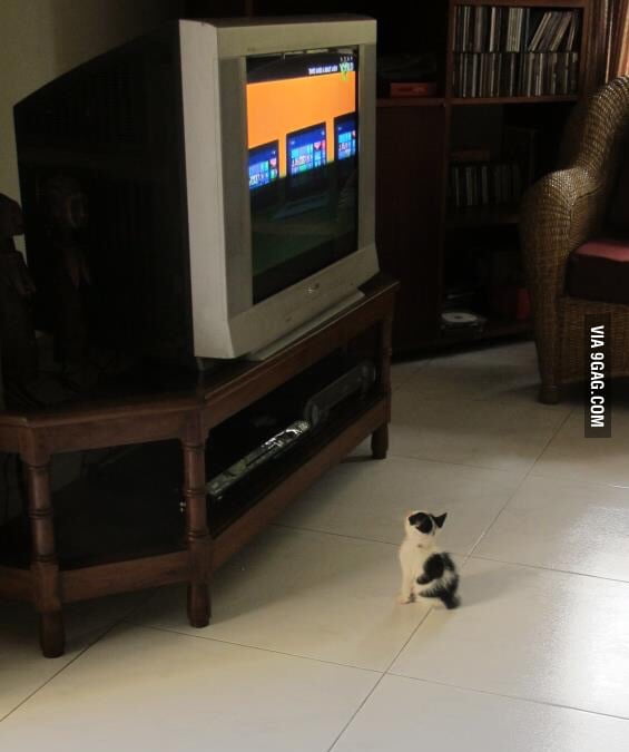 How it feels sitting in the front row of the movie theater 9GAG