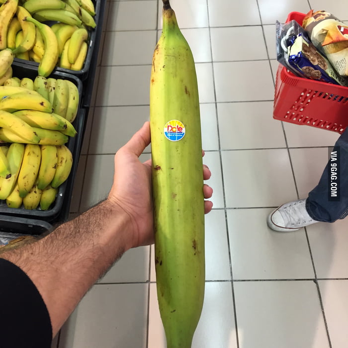 Banana For Scale 9gag