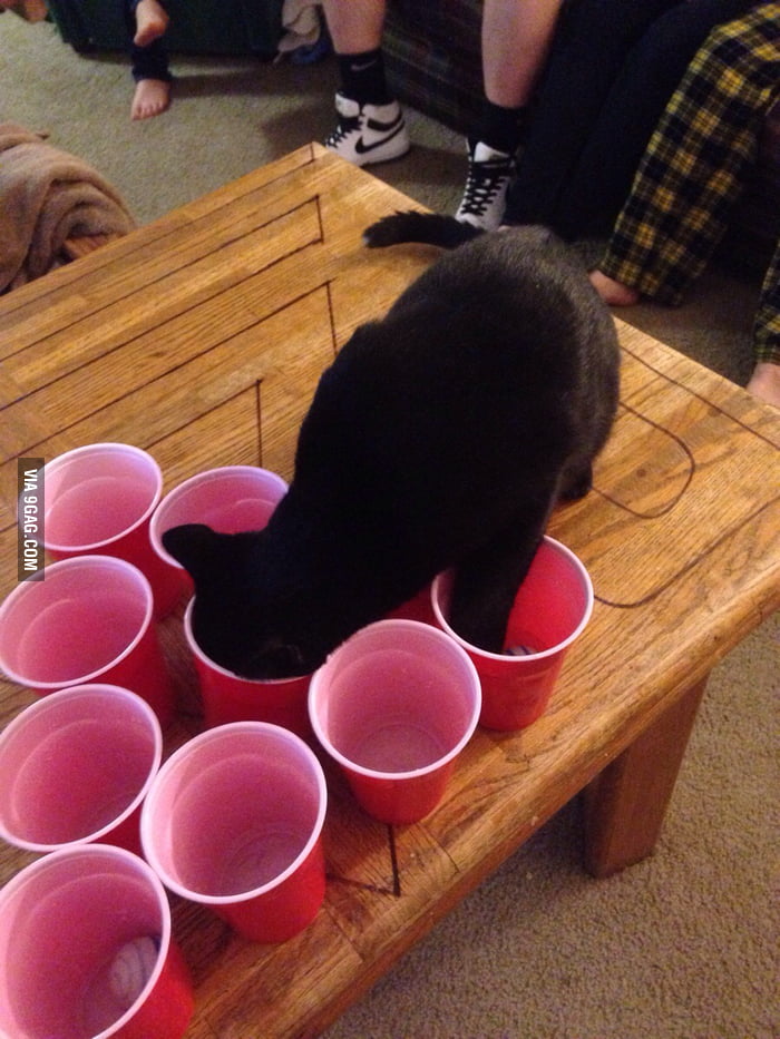 He helped us win the game at least - 9GAG