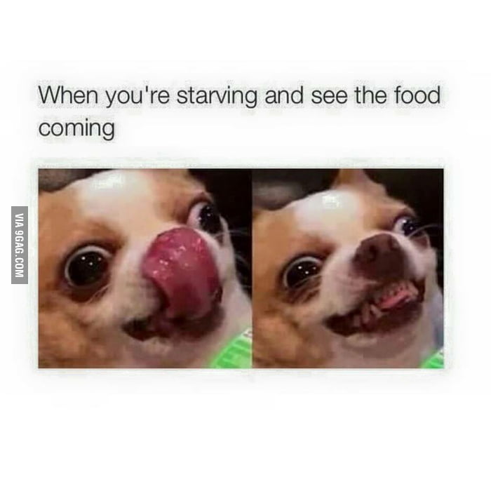 Hungry - 9GAG