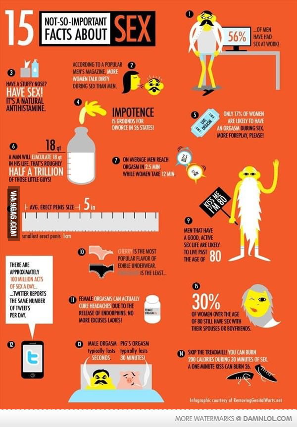 Some Sex Facts 9gag 4777