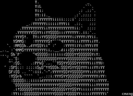 Ascii Pictures Wow 69