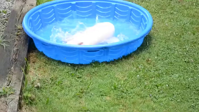 yellow kiddie pool