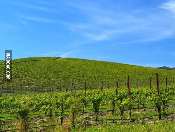 windows xp background today windows xp background today