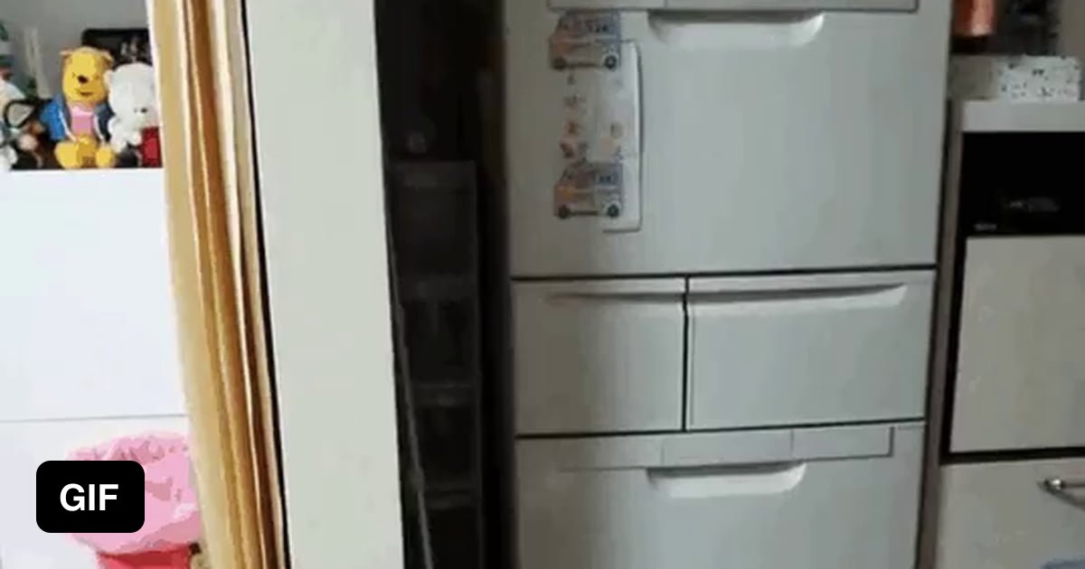 Cat (vs) Cucumber 9GAG