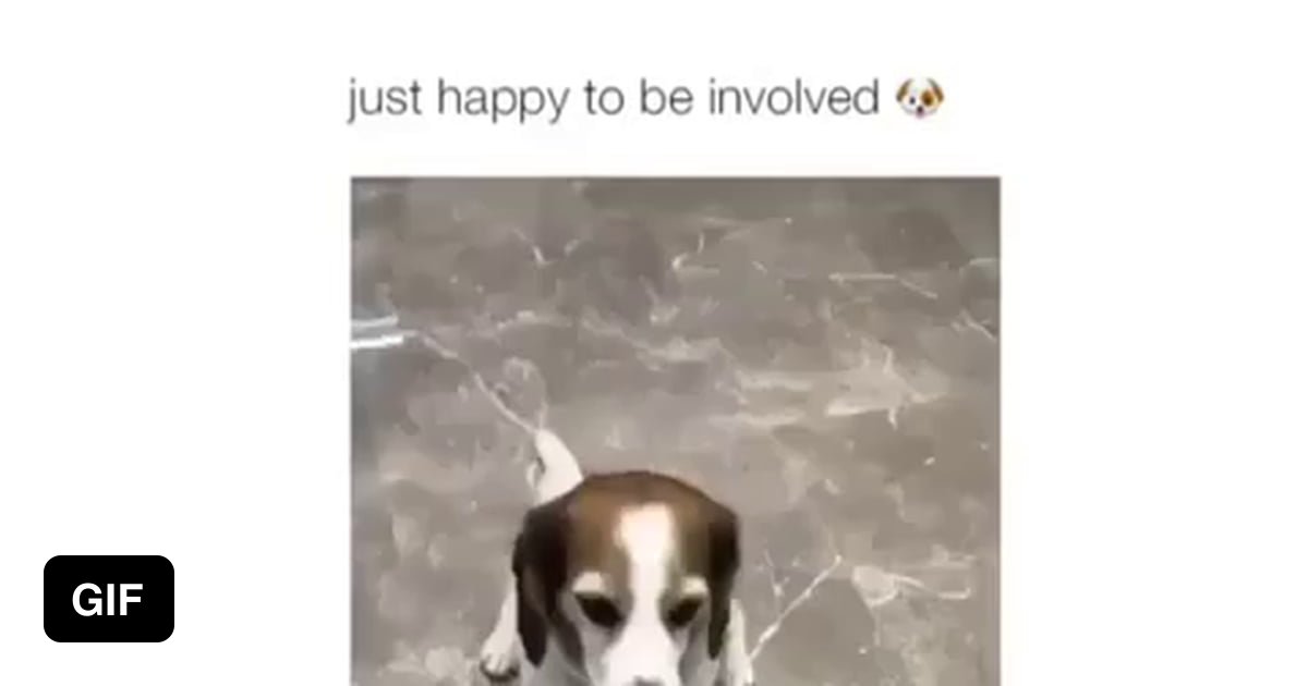 He tried his best - 9GAG