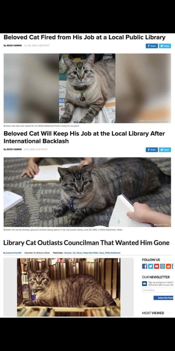 Not gonna lie they had us in the first half - 9GAG