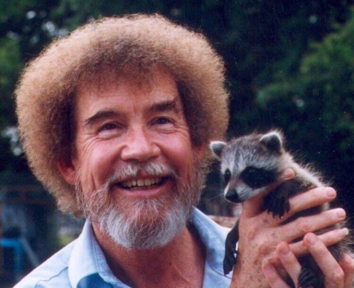 bob ross raccoon