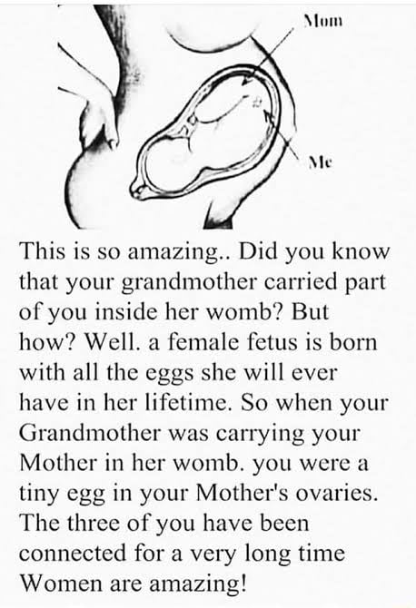 the-egg-you-came-from-was-formed-inside-your-grandmother-s-womb-9gag