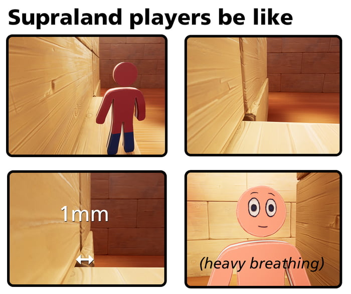 Supraland players be like - 9GAG