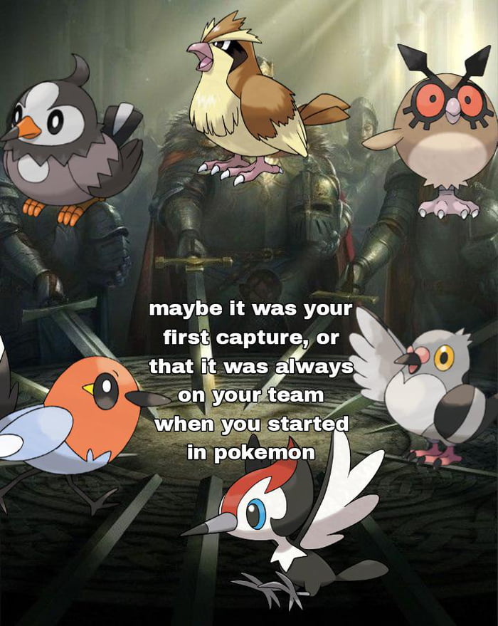 What is the best regional bird for you? - 9GAG