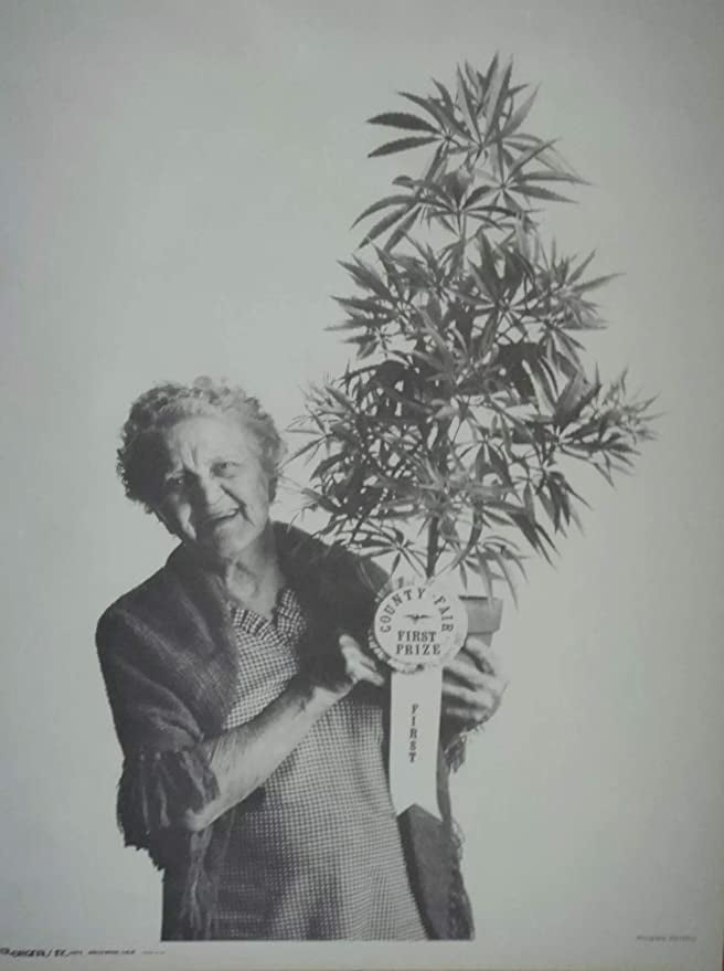 Granny Winning First Prize For Her Marijuana Plant At The California granny-winning-first-prize-for-her-marijuana-plant-at-the-california