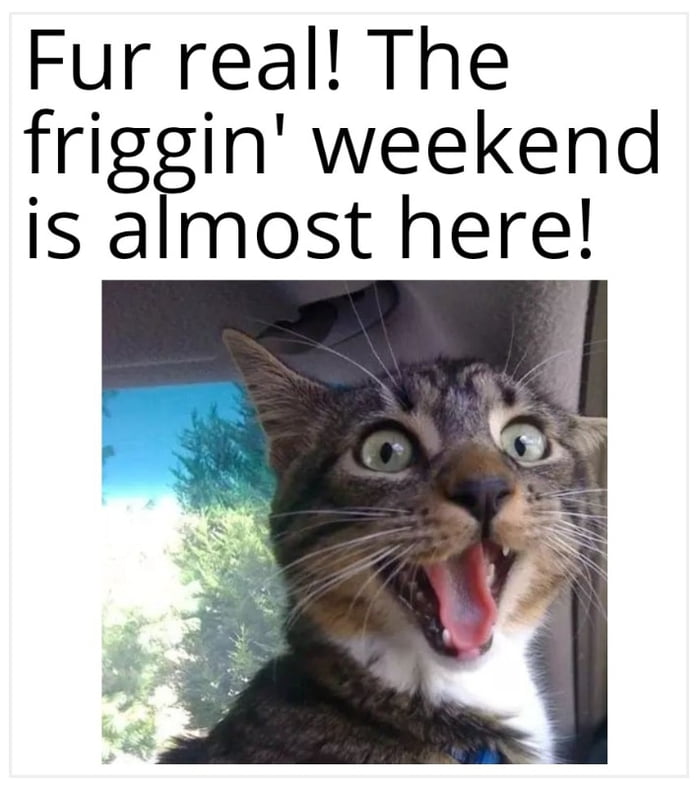 Friday humor - 9GAG